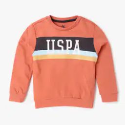 Boys Printed Regular Fit Sweatshirt-image-61