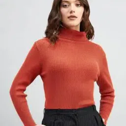 Women Ribbed High-Neck Pullover-picture-50