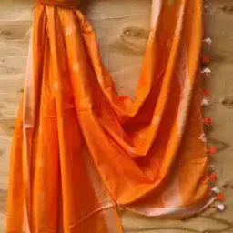 Handloom Woven Dupatta with Tassels-18