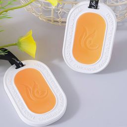 usha shriram Set of 2 Citrus Scented Wax Wardrobe Freshener image 1