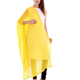 apratim Textured Dupatta image 1