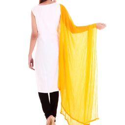 apratim Textured Dupatta image 2