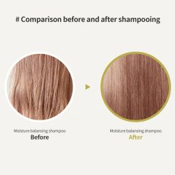 lador Moisture Balancing Shampoo image 2