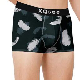 panicia Pack of 2 Men Printed Trunks image 2