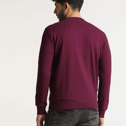 altheory sport by azorte Structured Stripe Sweatshirt image 3