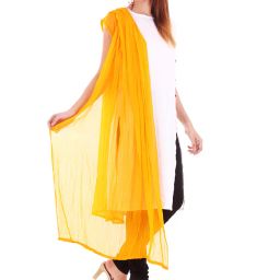 apratim Textured Dupatta image 3