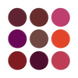 swiss beauty On The Move Lip Palette - 01 Bold Shade image 3