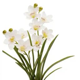 pure home and living Ivory Artificial Cymbidium in Rattan Pot image 3