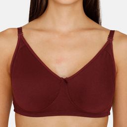 zivame Basics Double Layered Non-Wired Non-Padded 3/4th Coverage Backless Bra image 4