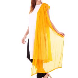 apratim Textured Dupatta image 4