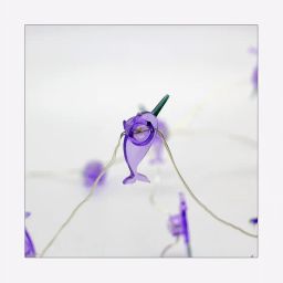 hamster london Dolphin LED Firefly String Light image 4