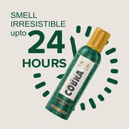 st.john Cobra Real Man No Gas Deodorant Spray image 5