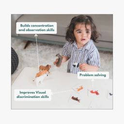 curious cub Montessori Learning Wooden Toys Box image 5