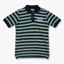 Boys Striped Regular Fit Cotton Polo T-Shirt-image-81