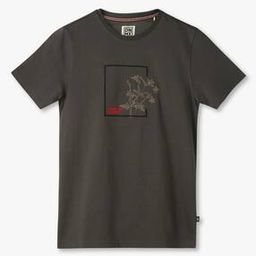 Boys Floral Embroidered Regular Fit Crew-Neck T-Shirt-picture-24