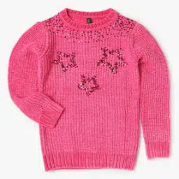 Embellished Sweater with Ribbed Hem-48