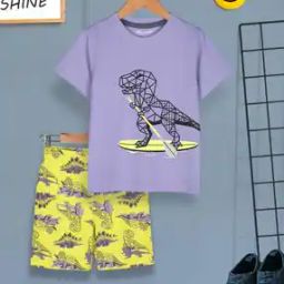 Boys Graphic Print T-Shirt & Shorts Set-24