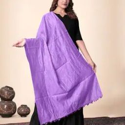 Women Embellished Dupatta with Fringe Hem-picture-10