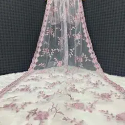 Women Embroidered Dupatta with Stitch Detail-image-48