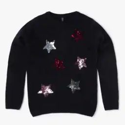 Embellished Crew-Neck Pullover-39