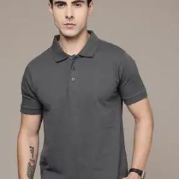 Men Regular Fit Polo T-Shirt-image-68