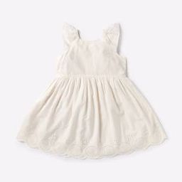 Schiffli Embroidered Fit & Flare Dress-image-71