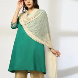 Women Sequin-Work Dupatta-picture-31