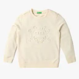 Boys Graphic Print Regular Fit Sweatshirt-image-60