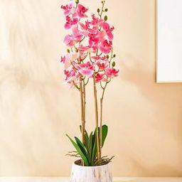 Gloria Orchids Artificial Flower in Pot-48