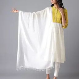 Women Checked Pure Cotton Dupatta-picture-22