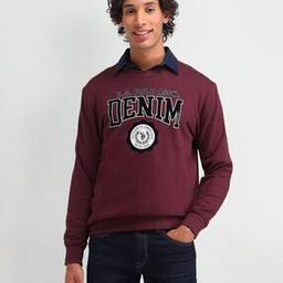 us polo assn. Men Regular Fit Sweatshirt-picture-17