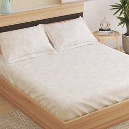 150 TC Printed Queen Size Bedsheet-image-43