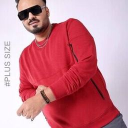 Men Regular Fit Crew-Neck Sweatshirt-image-1