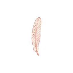 mahi Men Feather-Shaped Rose Gold-Plated Brooches-picture-37