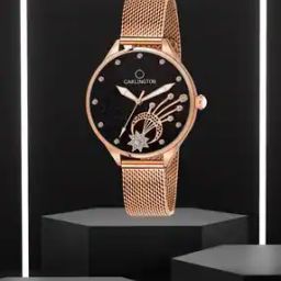 Men CT2020 Water-Resistant Analogue Watch with Mesh Strap-image-39
