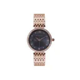 Analogue Watch-image-1