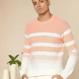 Men Striped Regular Fit Crew-Neck T-Shirt-image-99