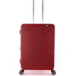 Striped Trolley Bag with Tsa Lock-49