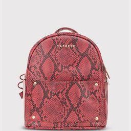 Women Snake Print Everyday Backpack-image-25