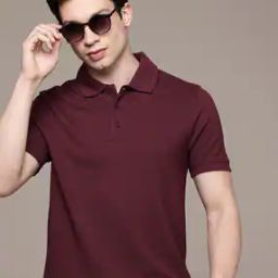 Men Regular Fit Polo T-Shirt-image-38