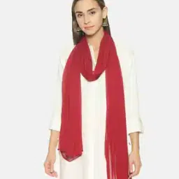 twin birds Women Nylon Light-Weight Dupatta-picture-11