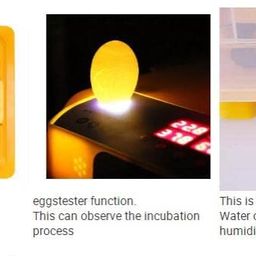 Ndeal Full Automatic Egg Incubator | Hatcher for 48 Eggs All-in-One | Transparent Eggs Hatching Machine | Chicken Incubator with 12V & 220V Dual Power - 80 Watts image 3