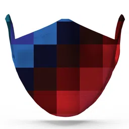 wHAT'S DOwn Blue & Red Printed Cotton Outdoor Masks-46