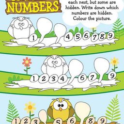 Dreamland Learn Everyday Early Maths image 4