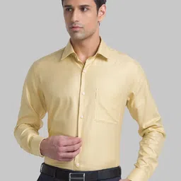 Raymond Yellow Structure Contemporary Fit Formal Shirts For Men-52