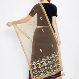 Clora Creation Ethnic Motifs Embroidered Net Dupatta image 4
