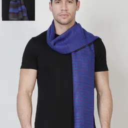 Alvaro Castagnino Men Blue & Red Printed Reversible Muffler-image-99