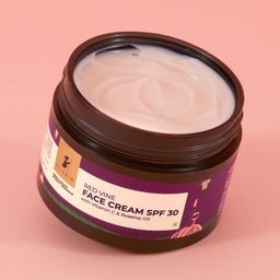 Pilgrim Red Vine Face Cream SPF 30 With Vitamin C & Rosehip Oil For Dark Spots & Ageing-32