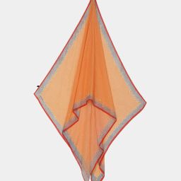 satya paul The Will-O-Wisp Dupatta image 1