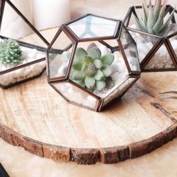 behoma Set of 3 Geometric-Shaped Glass Table Top Planters image 1